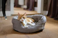 Hundesofa Katzensofa Hundebett Katzenbett kuschelig grau versch.Größen, Größe:Hundesofa animal Gr.1