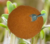 Kresse Gartenkresse Einfache 1kg Samen, frische, reine Ware