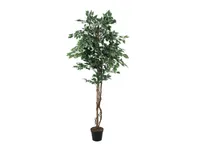 EUROPALMS Stříbrný ficus benjamini, umělá rostlina, 180cm