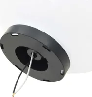 vidaXL LED-Gartenleuchten 4 Stk. Kugelförmig 30 cm PMMA