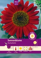Pabst Keimkraft - Sonnenblume Herbstlicht Samen - 173570