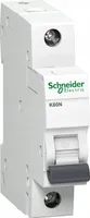 Schneider Electric A9K02125, Miniaturowy wyłącznik, Typu C, 6000 A, IP20