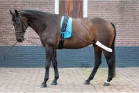 Harrys Horse Longierhilfe  / Longierausbindezügel , Größe:Full