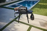 Ninja Woodfire Pro XL Elektrogrill Set Ständer Abdeckung Reinigungsbürste