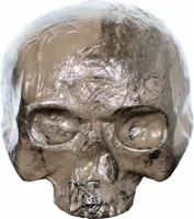 Modriger Halloween Totenschädel