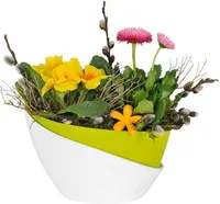 Plastia | Pflanzkübel Doopio - 21x14x14 cm - Grün/Krem - Selbstbewässernd - Ideal für Kräuter