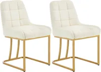 WOLTU 2 x Esszimmerstühle, Polsterstuhl mit Metallgestell, Samt, Beige