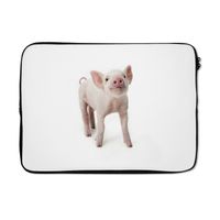 MuchoWow® Laptop Hülle 13 Zoll Schwein - Tiere - Weiß Laptoptasche - Laptophülle - Sleeve - Rundumschutz