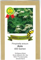 Anis - Bienenweide - Kräuter - Gewürzpflanze - Pimpinella anisum - 400 Samen