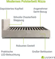 Čalouněná postel Nizza 300251, rám postele s LED osvětlením, sametovým potahem a úložným prostorem, 120 x 200 cm