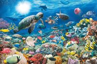 Puzzle 5000 Głębia Oceanu