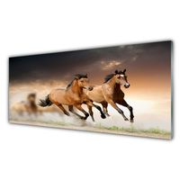 Glasbilder 100x50 Wandbild Druck auf Glas Pferde Tiere 