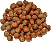 IGART Haselnüsse in der Schale 10kg 10000g | Hazelnuts | Naturbelassen