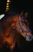 Horseware Ireland Zaum Micklem Rambo Multibridle Trense Schwarz Full