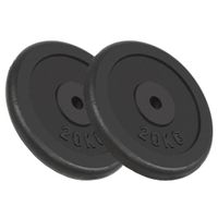 vidaXL Záťažové dosky 2 ks 2x20 kg liatina