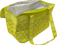 faltbare Isoliertasche 5 Liter Picknick Tasche Kühltasche Thermo Tasche Kühlbox