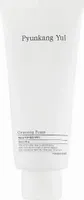 Èistící pleová pìna Reinigungsschaum 150 ml