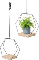 Hängendes Blumentopf Regal mit Innen-Hängenden Blumentöpfen, Balkon-Dekoration, Pflanzen, Wohnzimmer, Holz-Regal, Blumenampel(Sechseck*schwarz)