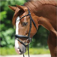 Zaumzeug Reiten Kavalkade Grey