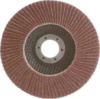 Fächerscheibe 125mm Körnung 40 Lamellenscheibe Schleifscheibe Schleifmop