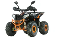 Kinderquad XXL Elektro Quad Miniquad 1200 Watt 48V 12 PS Tacho Achsmotor 7 Zoll