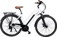 AsVIVA B15 City E-Bike 250W, 7-Gang Shimano, Akku, Scheibenbremsen, LED