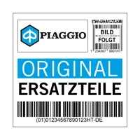 Lüftergehäusedeckel Piaggio Lüfterdeckel für Primavera / Sprint 50 E4, 1A009924