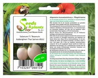 10x Solanum F1 Texanum Auberginen Thai Gemüse Pflanzen - Samen #162