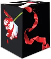 Die Twilight Saga Collection Box Set: Twilight / New Moon / Eclipse / Breaking Dawn