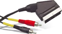 Scart-Stecker auf 2 Cinchstecker (für Audio), 2m