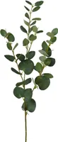 GASPER Eukalyptuszweig 79 cm - Kunstblumen