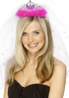 Zukünftige Braut Tiara und Schleier