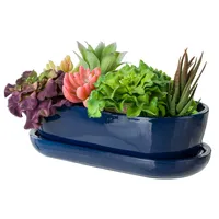 Blumentopf Blumenübertopf Dunkelblau Kaktenschale mit Untersetzer Oval LxBxH 13 cm x 27,5 cm x 8 cm Oberfläche Glanz Kakten Keramik Modern Glamour