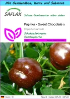 SAFLAX - Geschenk Set - Paprika - Sweet Chocolate x - 10 Samen - Mit Geschenk- / Versandbox, Versandaufkleber, Geschenkkarte und Anzuchtsubstrat - Capsicum annum