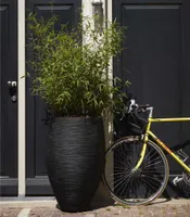 Capi Vase Nature Rib Elegant Deluxe 45x72 cm Schwarz