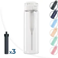 Wessper Wasserfilterflasche, Trinkflasche Aus Borosilikat Glas 680 Ml, Bpa Frei Wasserflasche Mit Filter Für Kohlensäurehaltige Getränke | Filterflasche Outdoor, Aktivkohle Filter Strohhalm- Minze + 3