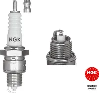 Świeca zapłonowa NGK 7829
