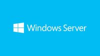 Microsoft Windows Server 2019 Standard, Delivery Service Partner (DSP), 1 licencia