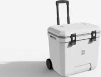Brisby Kühlbox mit Rädern und Teleskopgriff - Handgriff - viel Platz - Strand - Camping - 36 Liter - Weiß
