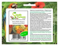 15x Xotica Pfeffer Madame Jeanette - Paprika Chili Samen Gemüse KS517