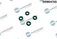 DR.MOTOR AUTOMOTIVE Dichtring Einspritzventil DRM0476S für VW GOLF VI (5K1)
