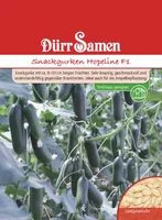 Dürr-Samen - Snackgurken Hopeline F1 - Saatgut - 4357