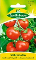 Quedlinburger Saatgut - Stabtomaten Harzfeuer - Samen - 483702