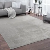 Hochflor Velours Teppich CADIZ 630 SILBER – 200X280