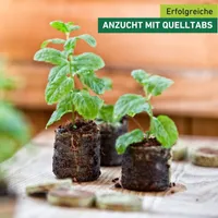 Quelltabletten aus Kokos für Anzucht, 50 Stück