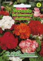 Pelargonie F2 Mischung  | Blumensamen von N.L. Chrestensen