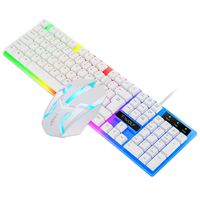 Gaming Tastatur Keyboard Maus Set RGB LED USB Mechanisch PC Laptop MAC/WINDOWS
