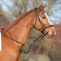 Kieffer Martingal, Farbe:braun / nicht unterlegt-, Größe:Warmblut
