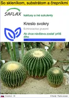 SAFLAX Kultivačný set - kreslo svokry - Echinocactus grusonii - 40 Semená - S mini skleníkom, pestovateľským substrátom a 2 črepníkmi