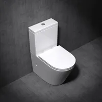 Mai & Mai Stand-WC Toilette Aachen179T Stand-Toilette aus Keramik spülrandloses WC bodenstehende Toilette